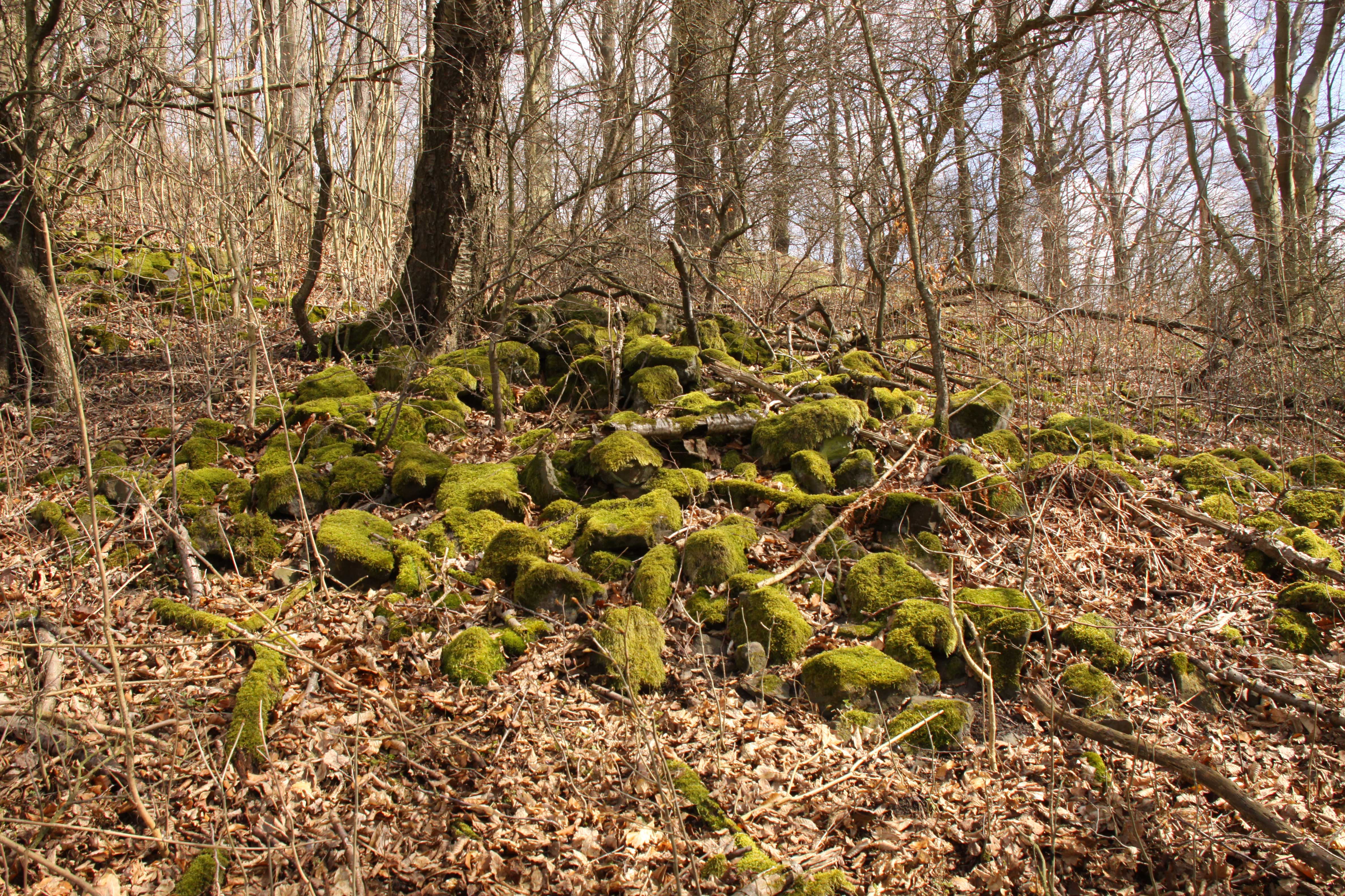 Gickelsberg-Blockfeld