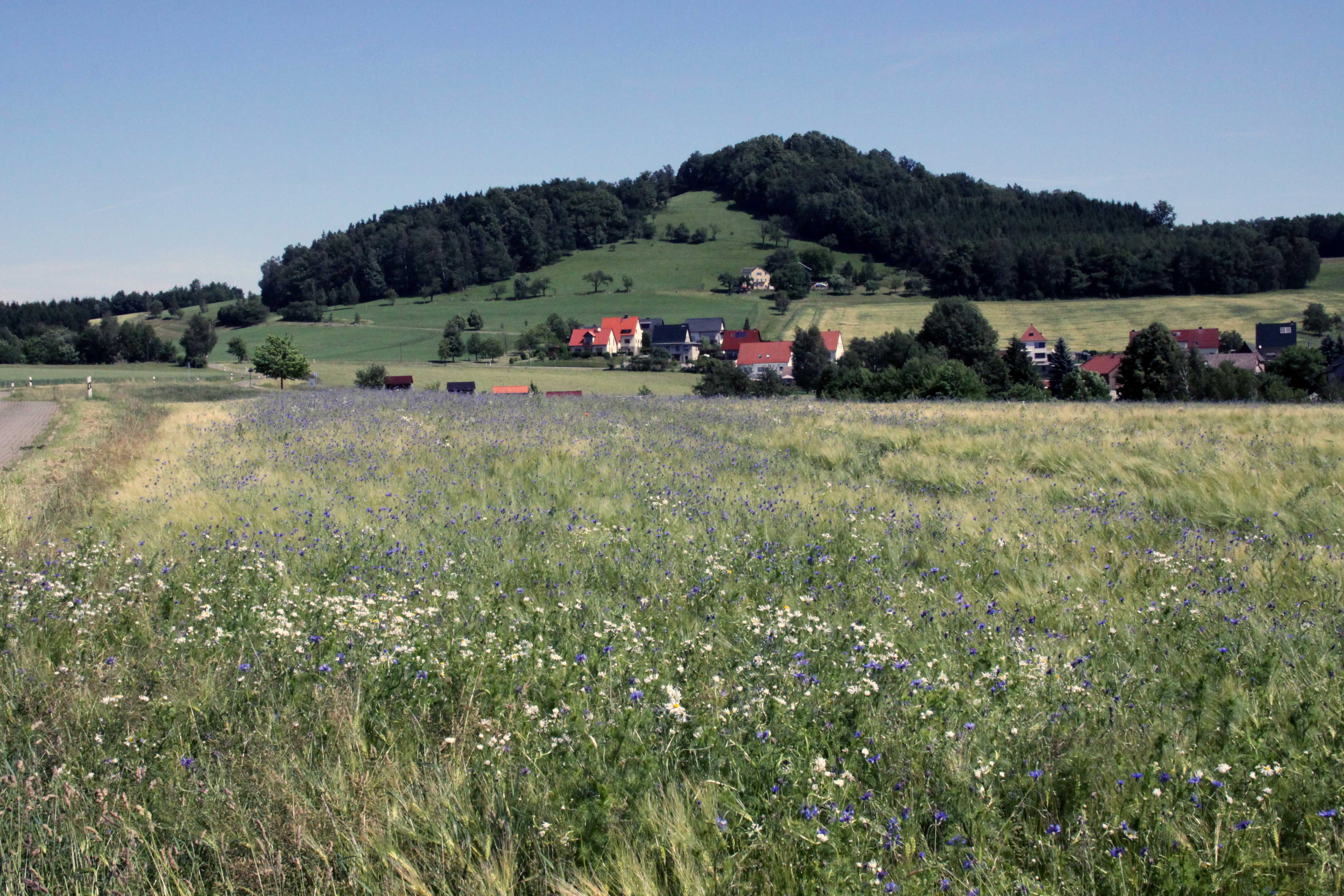 Gickelsberg